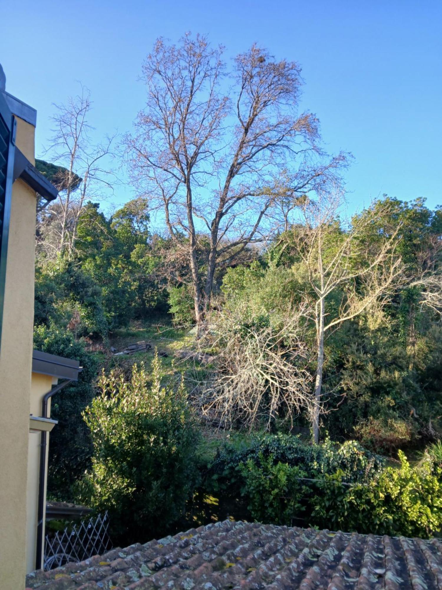 Casa Misha Tra 5 Terre E Versilia Bocca di Magra Exteriér fotografie
